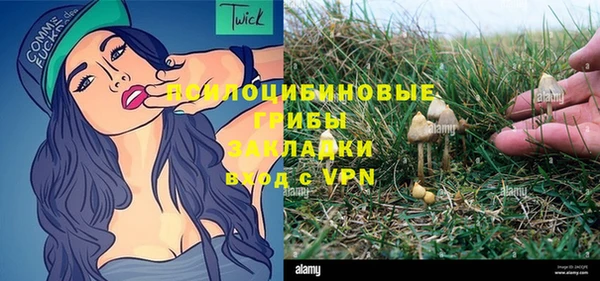 соль курить ск Алексеевка